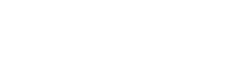 Martino Law Group